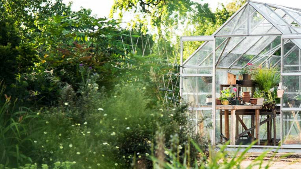Helles Glasgewächshaus in einem grünen Garten